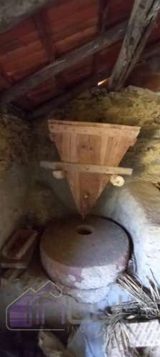 Propriedade Rural com 7 Hectares – Excelente para Agricultura, Criação e Lazer