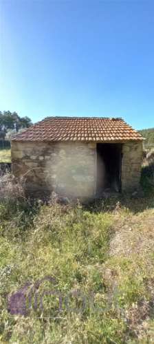 Propriedade Rural com 7 Hectares – Excelente para Agricultura, Criação e Lazer