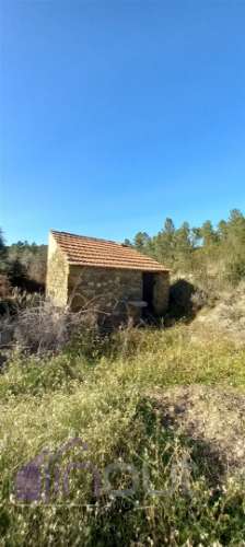 Propriedade Rural com 7 Hectares – Excelente para Agricultura, Criação e Lazer