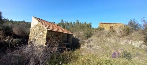 Propriedade Rural com 7 Hectares – Excelente para Agricultura, Criação e Lazer