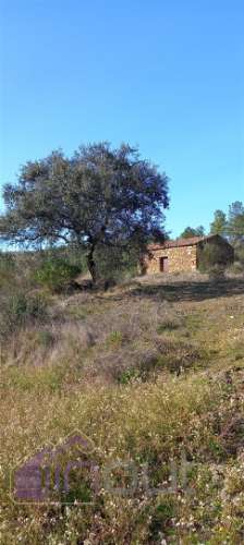 Propriedade Rural com 7 Hectares – Excelente para Agricultura, Criação e Lazer