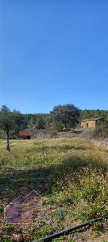 Propriedade Rural com 7 Hectares – Excelente para Agricultura, Criação e Lazer
