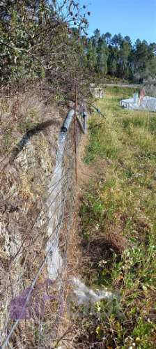 Propriedade Rural com 7 Hectares – Excelente para Agricultura, Criação e Lazer