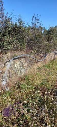 Propriedade Rural com 7 Hectares – Excelente para Agricultura, Criação e Lazer