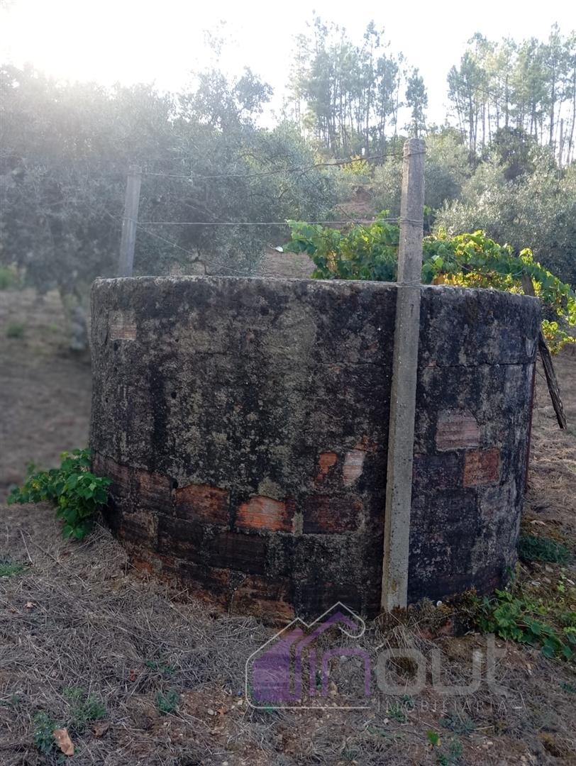 Quinta Rural com 13.000m² – Poço, Nascente, Furo Artesiano e Excelente Solo Agrícola na Abitureira (