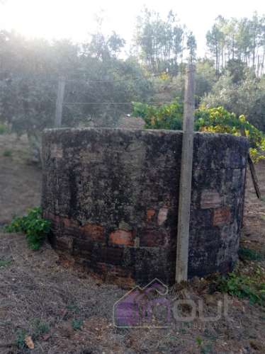 Quinta Rural com 13.000m² – Poço, Nascente, Furo Artesiano e Excelente Solo Agrícola na Abitureira (