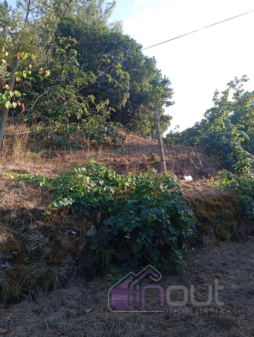 Quinta Rural com 13.000m² – Poço, Nascente, Furo Artesiano e Excelente Solo Agrícola na Abitureira (