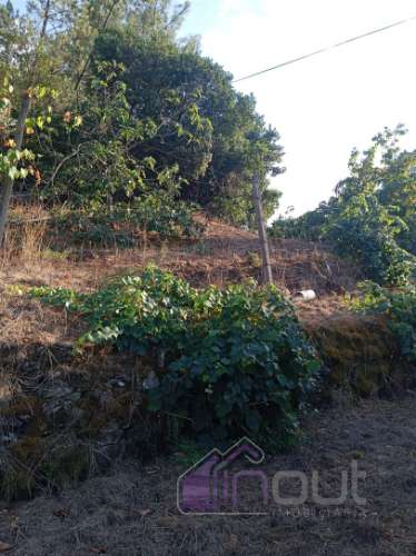 Quinta Rural com 13.000m² – Poço, Nascente, Furo Artesiano e Excelente Solo Agrícola na Abitureira (