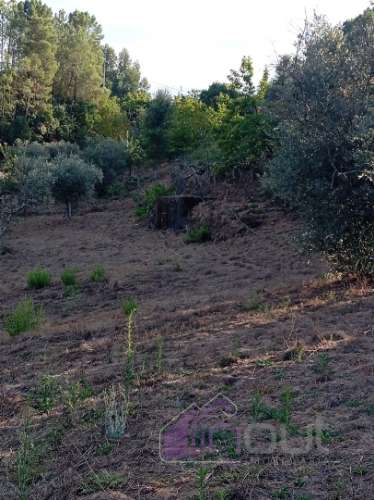 Quinta Rural com 13.000m² – Poço, Nascente, Furo Artesiano e Excelente Solo Agrícola na Abitureira (