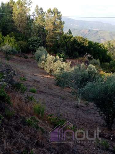 Quinta Rural com 13.000m² – Poço, Nascente, Furo Artesiano e Excelente Solo Agrícola na Abitureira (