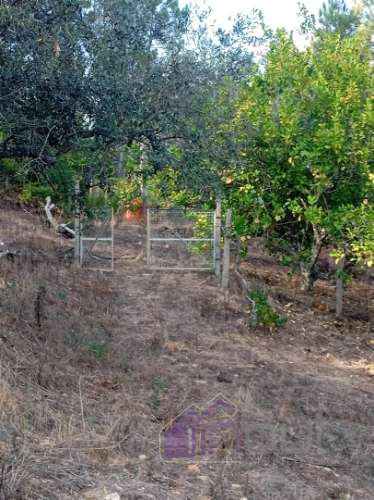 Quinta Rural com 13.000m² – Poço, Nascente, Furo Artesiano e Excelente Solo Agrícola na Abitureira (