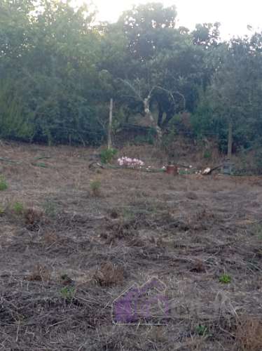 Quinta Rural com 13.000m² – Poço, Nascente, Furo Artesiano e Excelente Solo Agrícola na Abitureira (