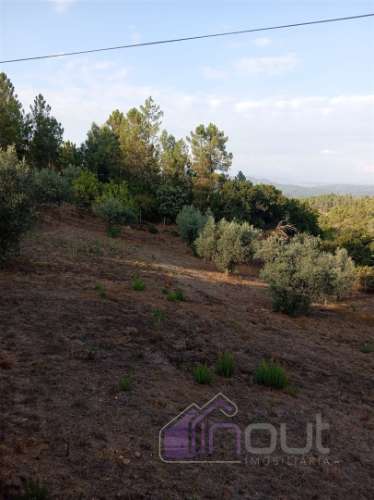 Quinta Rural com 13.000m² – Poço, Nascente, Furo Artesiano e Excelente Solo Agrícola na Abitureira (