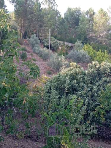 Quinta Rural com 13.000m² – Poço, Nascente, Furo Artesiano e Excelente Solo Agrícola na Abitureira (