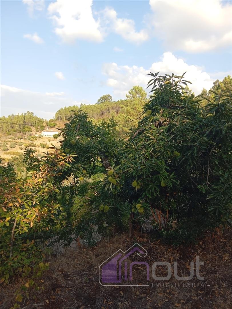 Quinta Rural com 13.000m² – Poço, Nascente, Furo Artesiano e Excelente Solo Agrícola na Abitureira (