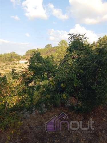 Quinta Rural com 13.000m² – Poço, Nascente, Furo Artesiano e Excelente Solo Agrícola na Abitureira (