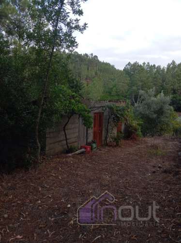 Quinta Rural com 13.000m² – Poço, Nascente, Furo Artesiano e Excelente Solo Agrícola na Abitureira (