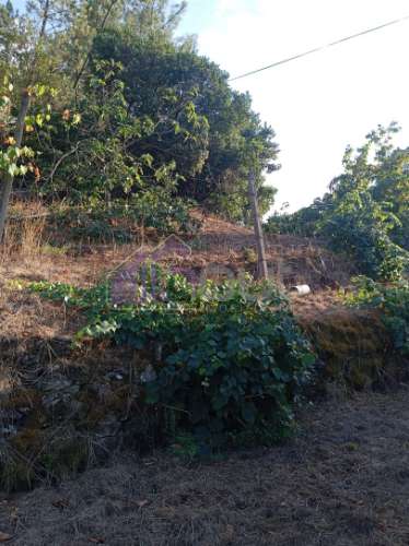 Quinta Rural com 13.000m² – Poço, Nascente, Furo Artesiano e Excelente Solo Agrícola na Abitureira (