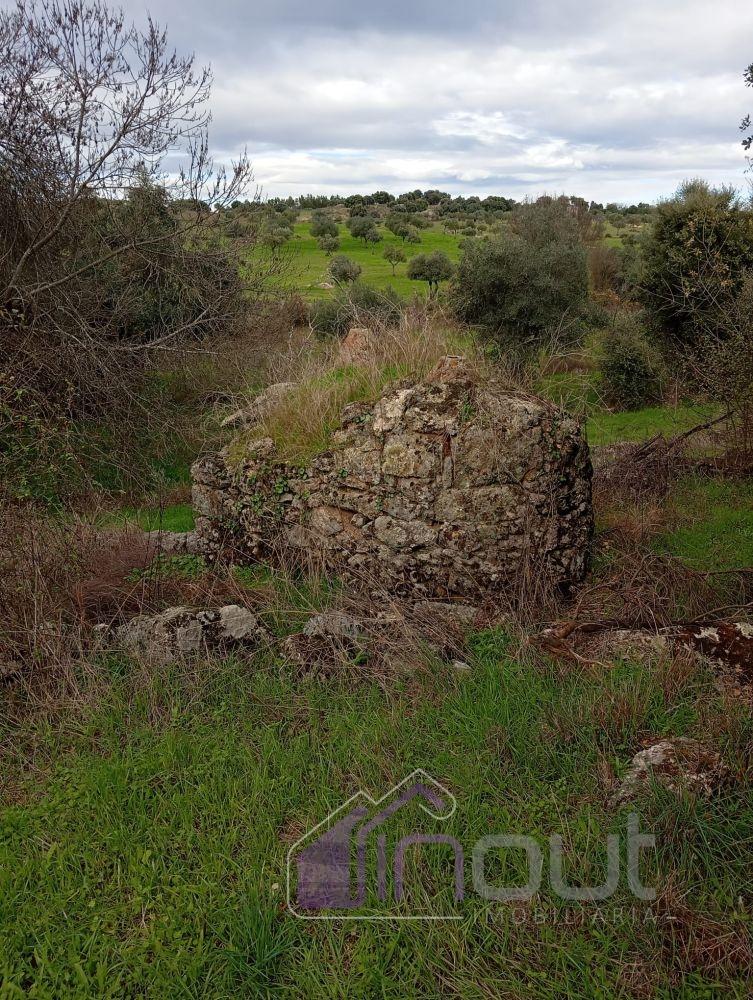 Excelente Propriedade Rural com 5.425m² e Ruína, Poço com Reservatório em Granito – Próxima à Aldeia