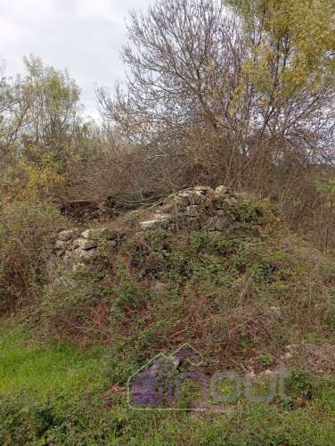 Excelente Propriedade Rural com 5.425m² e Ruína, Poço com Reservatório em Granito – Próxima à Aldeia