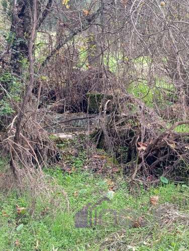 Excelente Propriedade Rural com 5.425m² e Ruína, Poço com Reservatório em Granito – Próxima à Aldeia