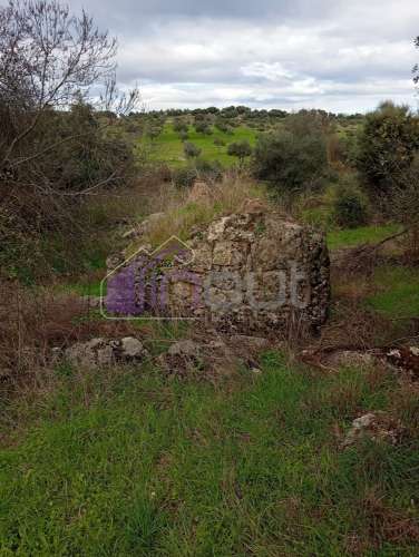 Excelente Propriedade Rural com 5.425m² e Ruína, Poço com Reservatório em Granito – Próxima à Aldeia