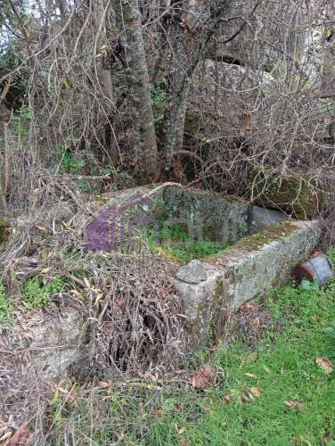 Excelente Propriedade Rural com 5.425m² e Ruína, Poço com Reservatório em Granito – Próxima à Aldeia