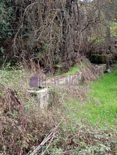 Excelente Propriedade Rural com 5.425m² e Ruína, Poço com Reservatório em Granito – Próxima à Aldeia