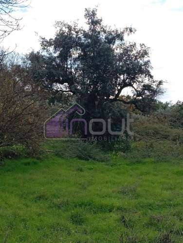 Excelente Propriedade Rural com 5.425m² e Ruína, Poço com Reservatório em Granito – Próxima à Aldeia