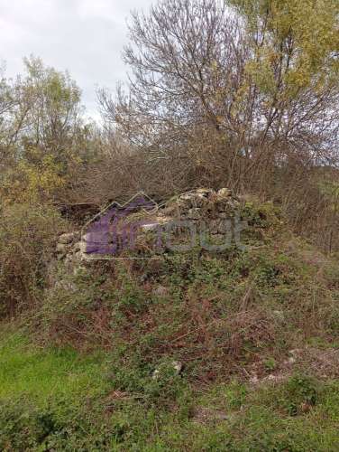 Excelente Propriedade Rural com 5.425m² e Ruína, Poço com Reservatório em Granito – Próxima à Aldeia