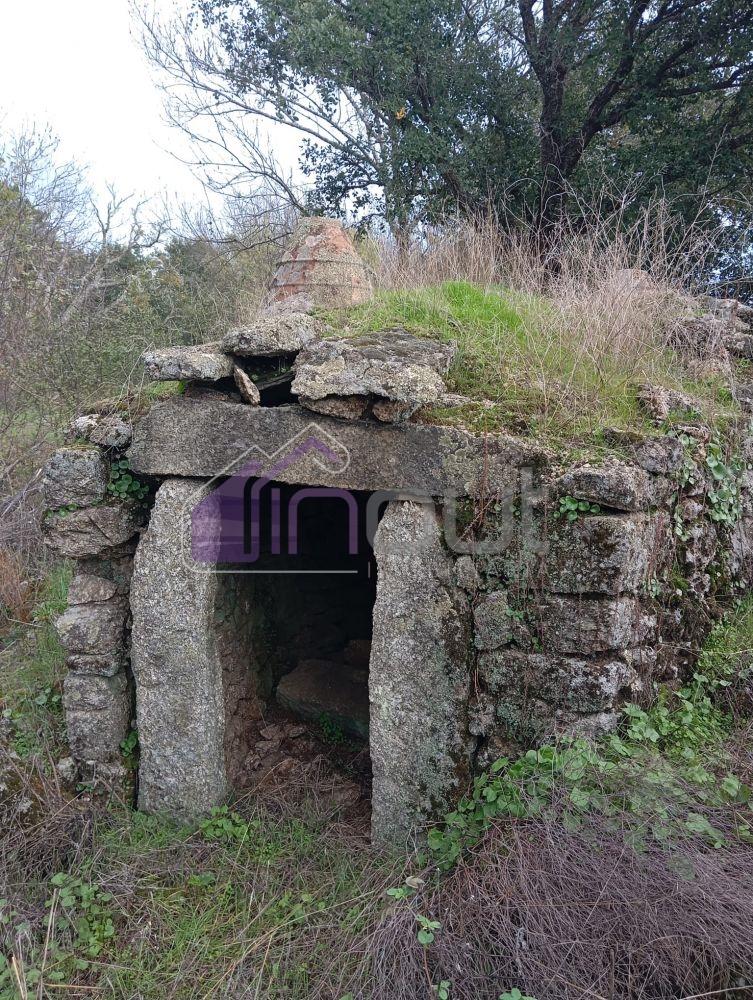 Excelente Propriedade Rural com 5.425m² e Ruína, Poço com Reservatório em Granito – Próxima à Aldeia