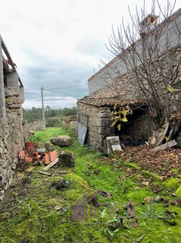 Quintinha a 9 km de Castelo Branco – Excelente Investimento!