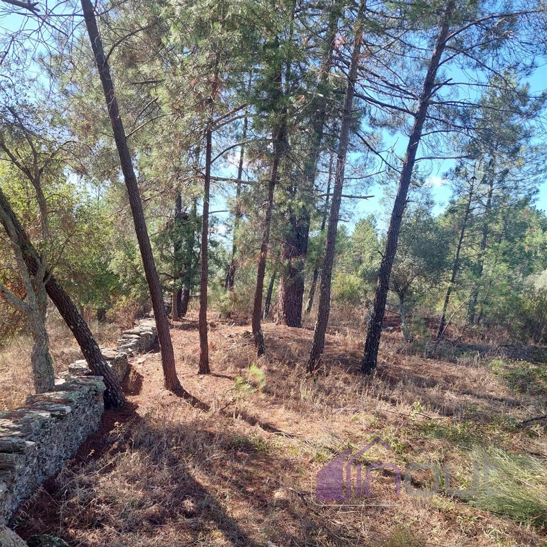 Terreno Rústico com 1.400m² – Água de Poço, Bons Acessos e Potencial Agrícola a 300 Metros da Aldeia