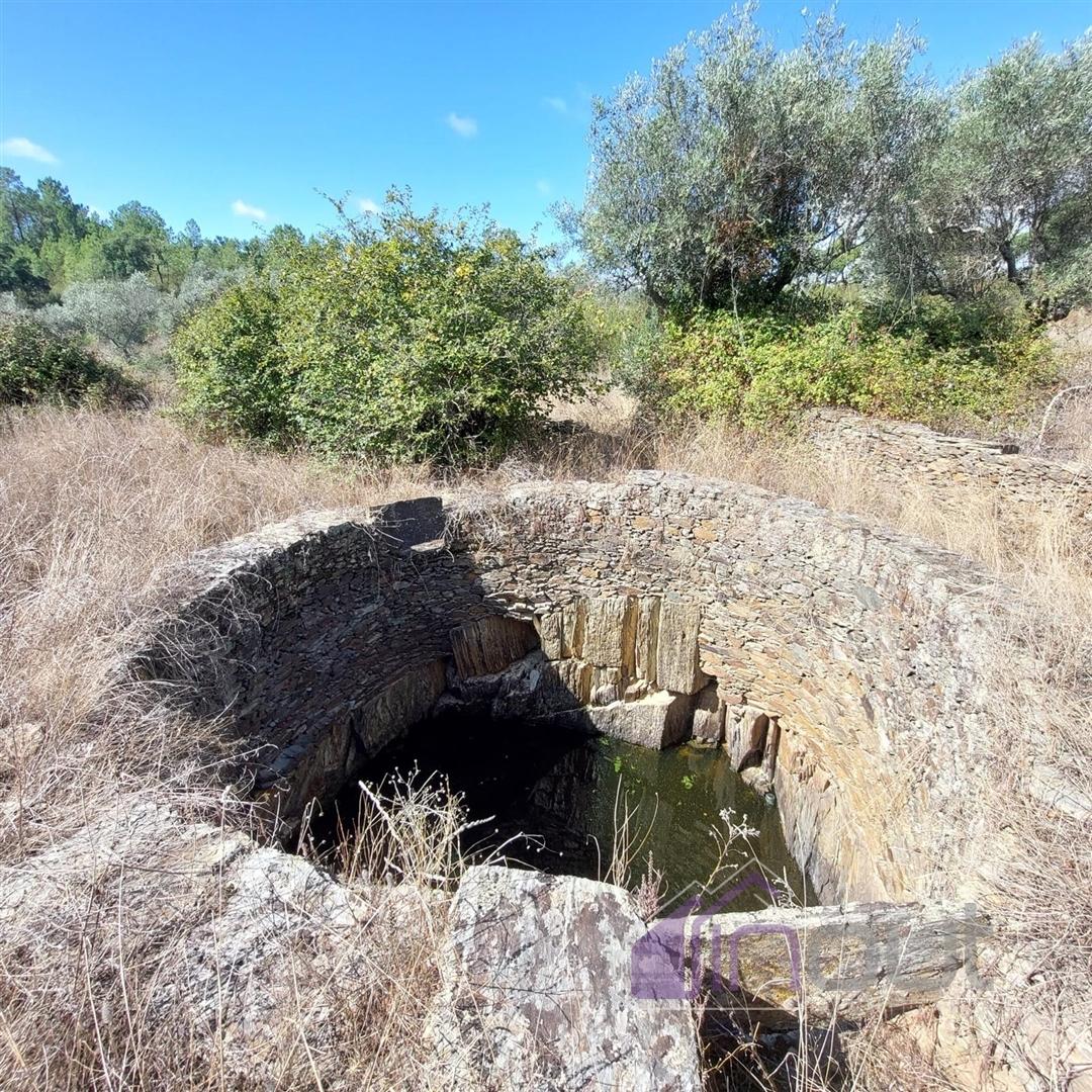 Terreno Rústico com 1.400m² – Água de Poço, Bons Acessos e Potencial Agrícola a 300 Metros da Aldeia