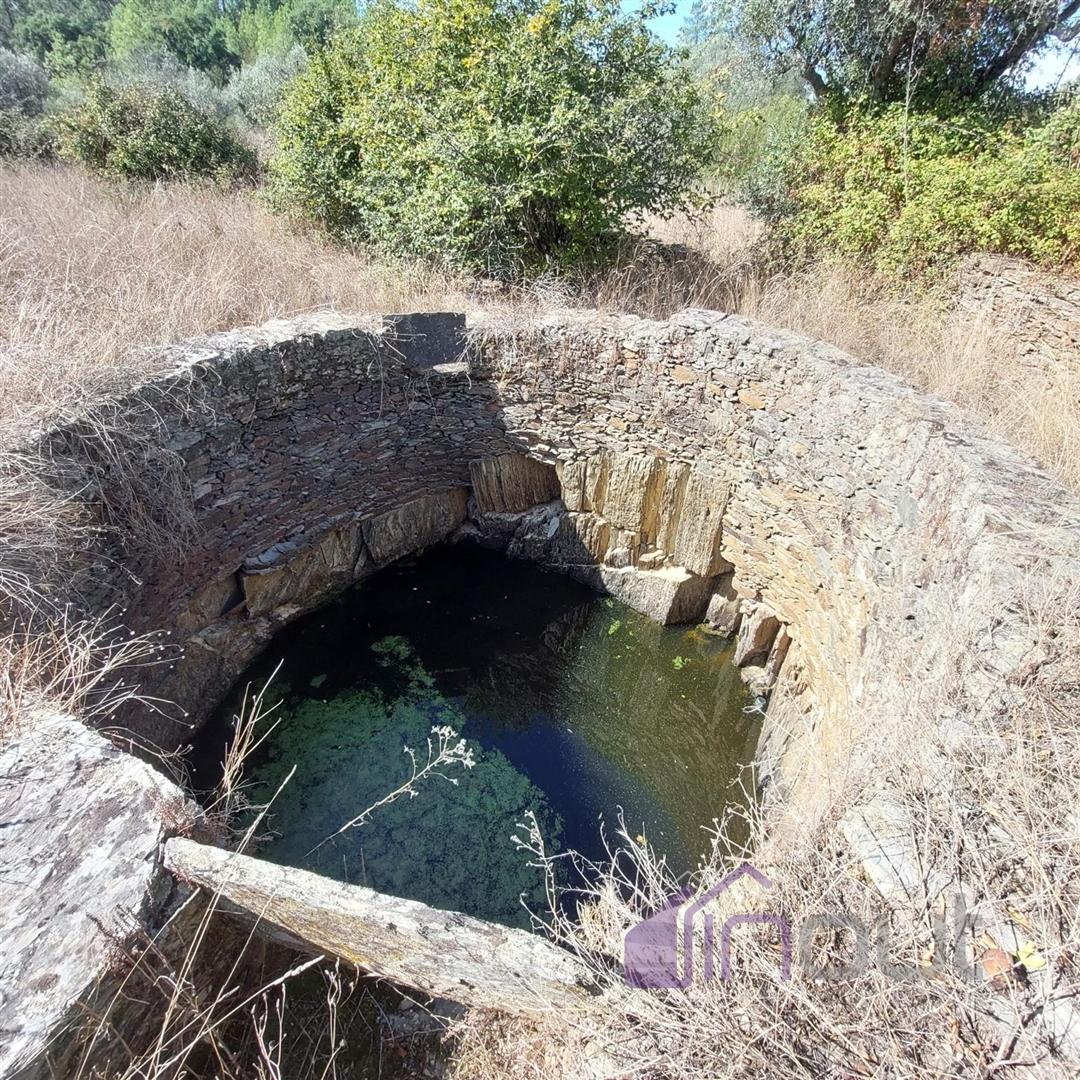 Terreno Rústico com 1.400m² – Água de Poço, Bons Acessos e Potencial Agrícola a 300 Metros da Aldeia