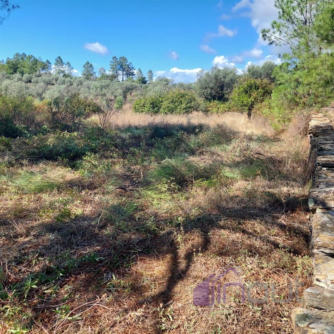 Terreno Rústico com 1.400m² – Água de Poço, Bons Acessos e Potencial Agrícola a 300 Metros da Aldeia