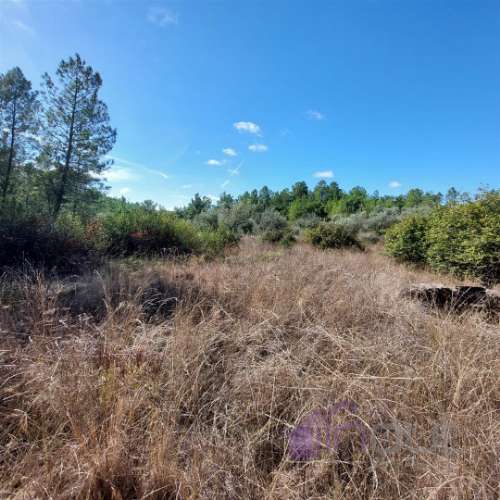 Terreno Rústico com 1.400m² – Água de Poço, Bons Acessos e Potencial Agrícola a 300 Metros da Aldeia