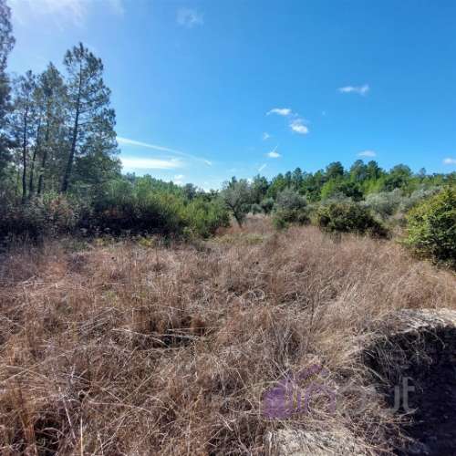 Terreno Rústico com 1.400m² – Água de Poço, Bons Acessos e Potencial Agrícola a 300 Metros da Aldeia