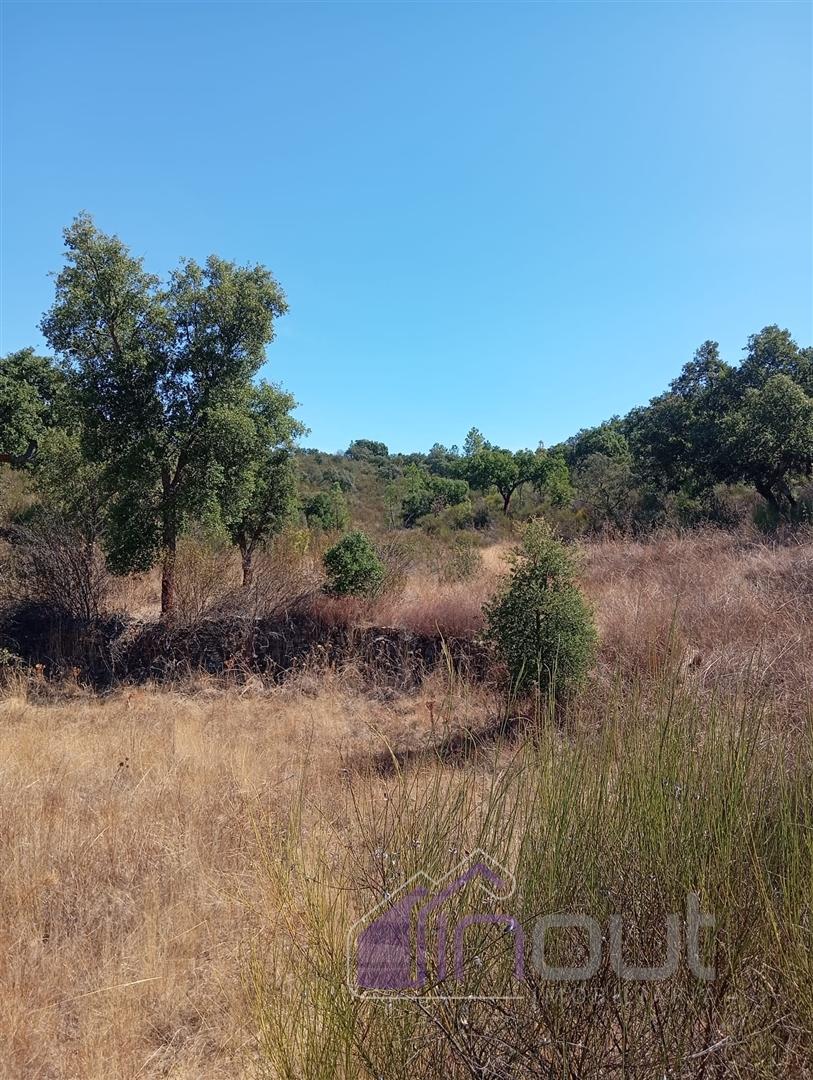 Terreno Rústico com 39.000m² – Potencial para Construção, Agricultura ou Lazer, com Vista Panorâmica