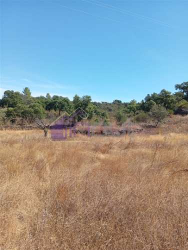 Terreno Rústico com 39.000m² – Potencial para Construção, Agricultura ou Lazer, com Vista Panorâmica