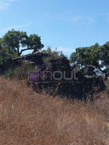 Terreno Rústico com 39.000m² – Potencial para Construção, Agricultura ou Lazer, com Vista Panorâmica