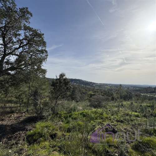 Terreno Rústico com 39.000m² – Potencial para Construção, Agricultura ou Lazer, com Vista Panorâmica