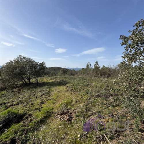 Terreno Rústico com 39.000m² – Potencial para Construção, Agricultura ou Lazer, com Vista Panorâmica