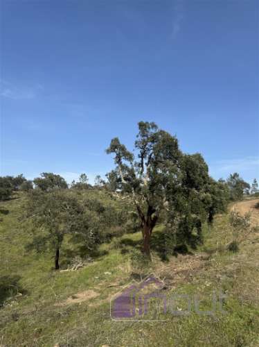Terreno Rústico com 39.000m² – Potencial para Construção, Agricultura ou Lazer, com Vista Panorâmica