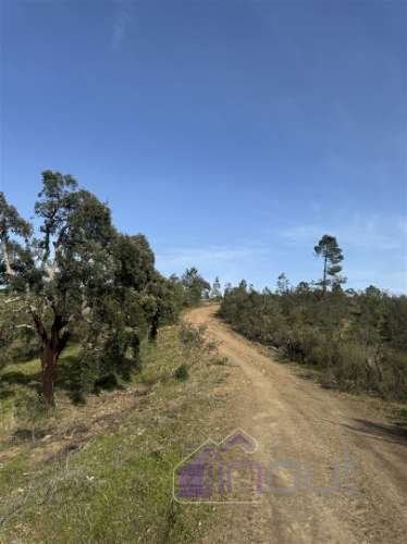 Terreno Rústico com 39.000m² – Potencial para Construção, Agricultura ou Lazer, com Vista Panorâmica