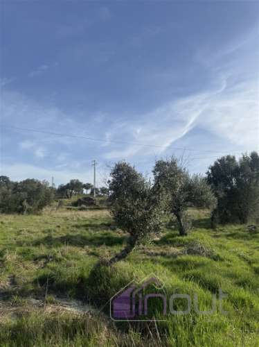 Terreno Rústico com 39.000m² – Potencial para Construção, Agricultura ou Lazer, com Vista Panorâmica