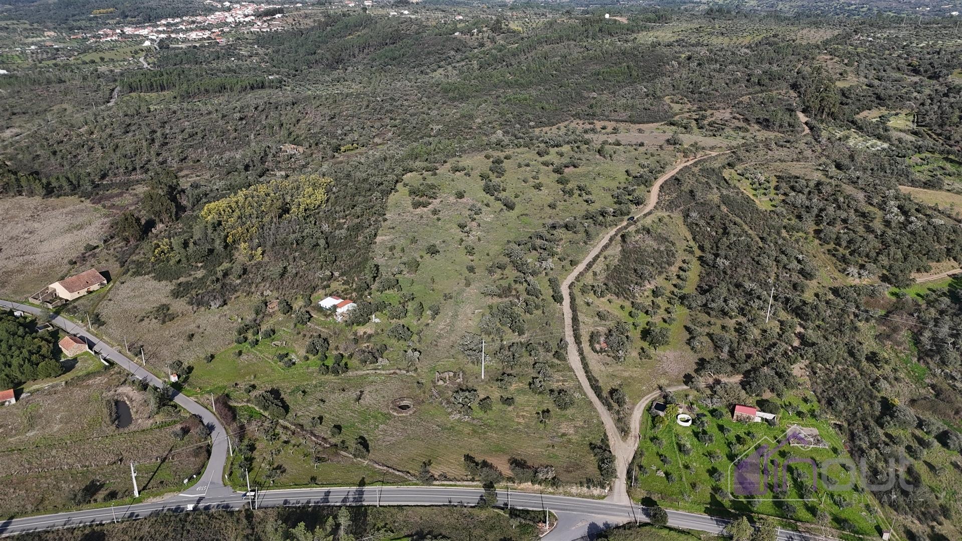Terreno Rústico com 39.000m² – Potencial para Construção, Agricultura ou Lazer, com Vista Panorâmica