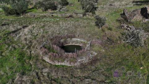 Terreno Rústico com 39.000m² – Potencial para Construção, Agricultura ou Lazer, com Vista Panorâmica