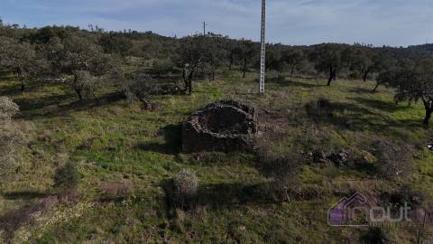 Terreno Rústico com 39.000m² – Potencial para Construção, Agricultura ou Lazer, com Vista Panorâmica