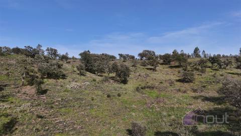 Terreno Rústico com 39.000m² – Potencial para Construção, Agricultura ou Lazer, com Vista Panorâmica